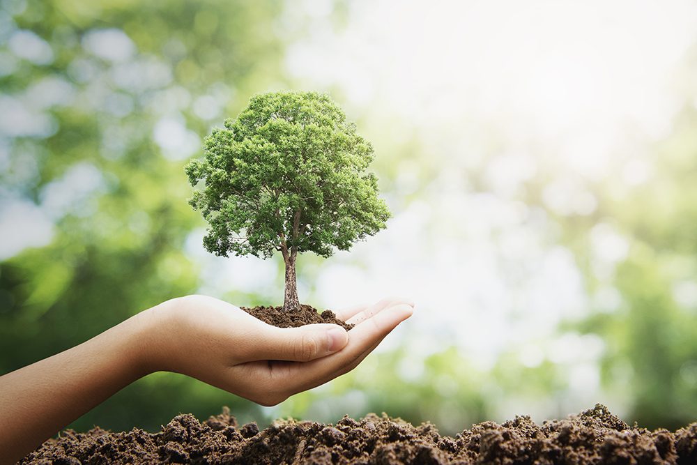 charte excellence écologie sur mesure menuiserie